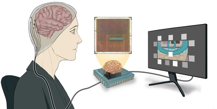 BCI Decoder Research