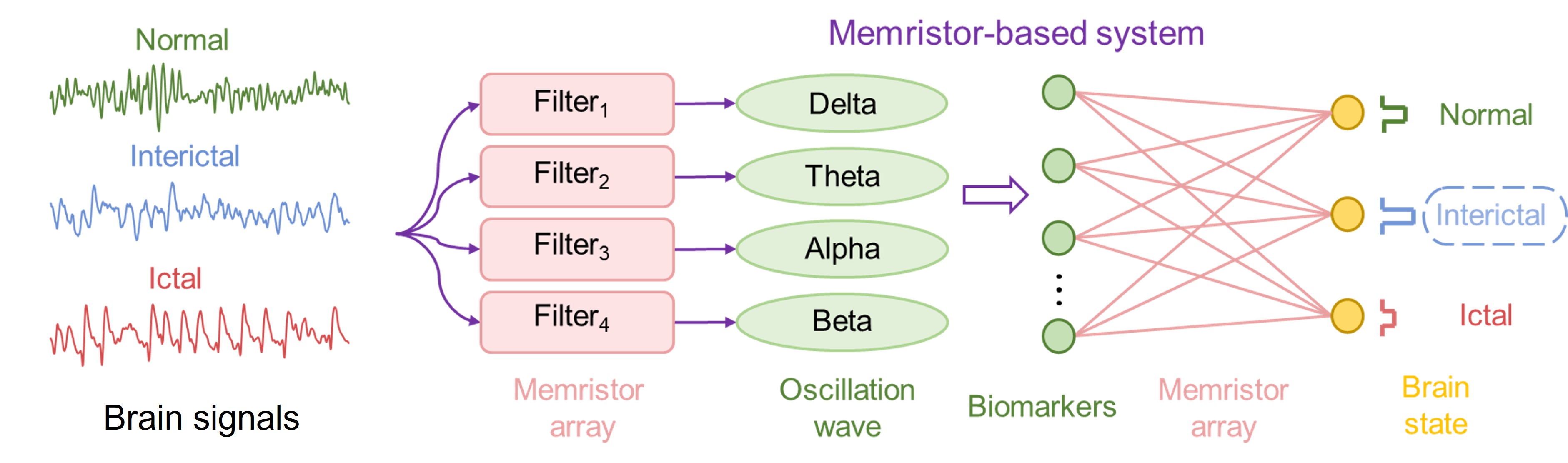 Neural Signal Analysis